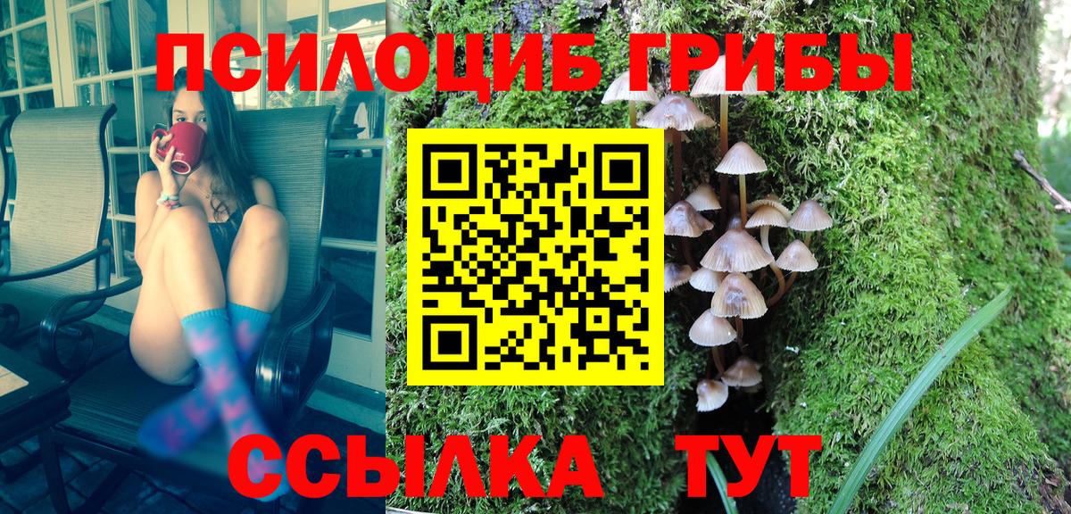 Псков  Галлюциногенные грибы ЛСД  Галлюциногенные грибы мицелий  Вход с VPN 